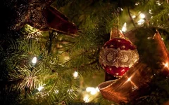 NY-2014-12-31-small.webp