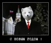 antks1xfu85a.webp