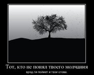 1361529815_11633296_tot-kto-ne-ponyal-tvoego-molchaniya.jpg