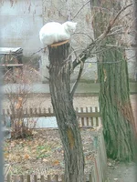 DSC00575.webp