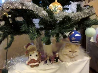 0107.webp