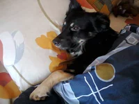 0109.webp