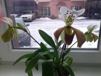 2015-01-05 09.49.42.webp