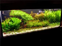212caf4a9ac0.jpg