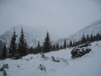 IMG_2364.jpg