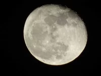 DSC00221.webp