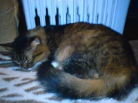 DSC00366.jpg