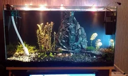 IMAG1298.webp