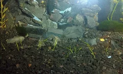 IMAG1303.webp