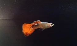 IMAG1316.jpg