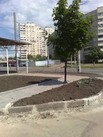 24052011539.webp