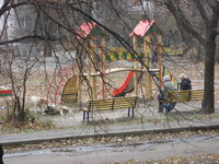 IMG_3795.jpg