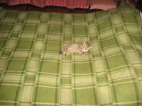 IMG_3916.webp