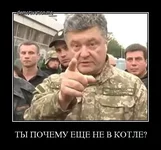 5h6wi6vh5bp0.webp
