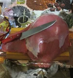 IMG_8761_1.webp