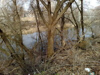 210320131824.jpg
