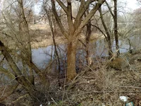 210320131824.webp