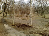 210320131826.jpg