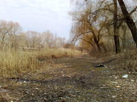 210320131828.jpg
