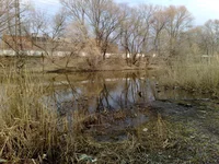 210320131830.webp