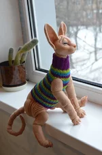 cat-13-14.webp