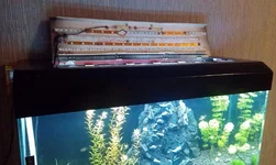 IMAG1404.jpg