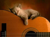 Sleeping Soundly.webp