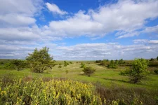 DSC00920.webp