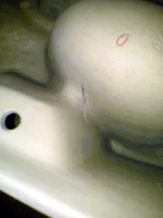 .webp