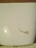 .webp
