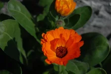 DSC_3148.webp