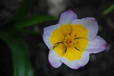 DSC_5033.webp