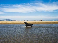 98_1Duds1.webp