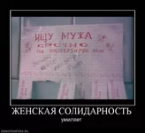 x_7d91a6e8.jpg