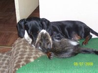 100_2146.JPG