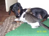 100_2147.JPG