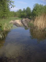 IMGP7557.webp