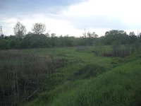 IMGP7555.webp