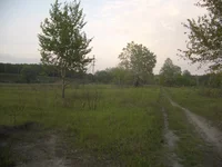 IMGP7564.webp