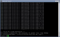 pinp.webp