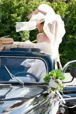 _IGP1490as.webp