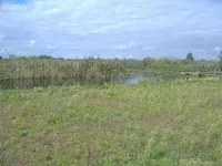 DSCF0899.webp