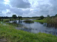 DSCF0900.webp