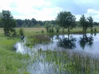 DSCF0902.webp