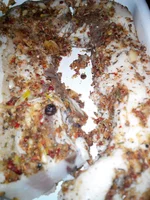 2015115192414.webp