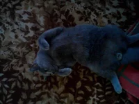 image1.webp