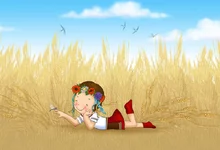  поле сжат.webp