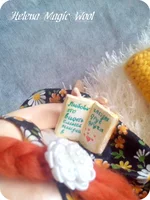 IMG_20141229_124259 формат.webp