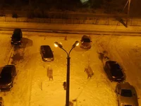 P1030348_новый размер.webp