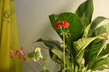 _DSC0016.webp